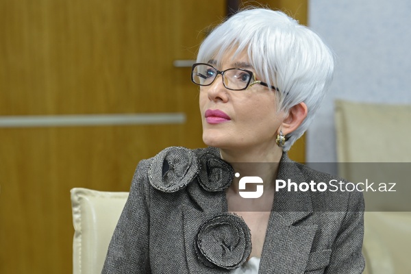 Vüsalə Məmmədova - Mətbuat Şurasının Dil Komissiyasının genişləndirilmiş iclasında