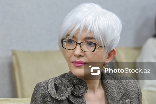 Vüsalə Məmmədova - Mətbuat Şurasının Dil Komissiyasının genişləndirilmiş iclasında