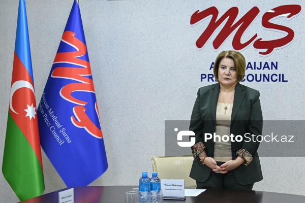 Vüsalə Mahirqızı - Mətbuat Şurasının Dil Komissiyasının genişləndirilmiş iclasında