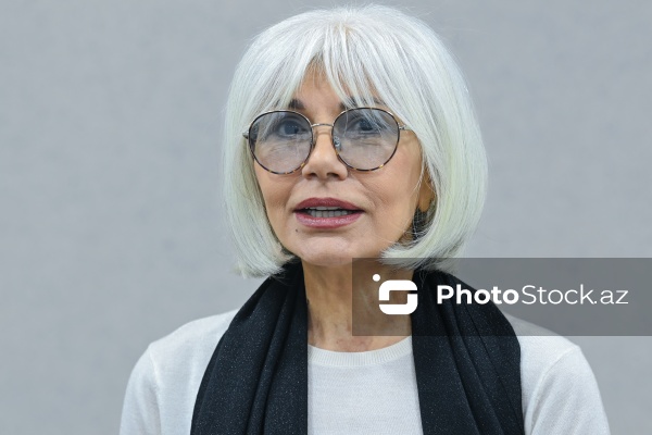 Nərgiz Cəlilova - Mətbuat Şurasının Dil Komissiyasının genişləndirilmiş iclasında