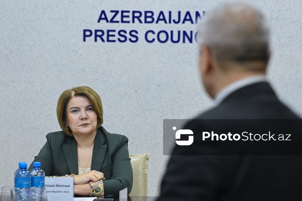 Vüsalə Mahirqızı - Mətbuat Şurasının Dil Komissiyasının genişləndirilmiş iclasında