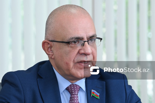 Milli Məclisin deputatı Elçin Mirzəbəyli