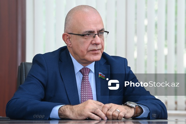 Milli Məclisin deputatı Elçin Mirzəbəyli