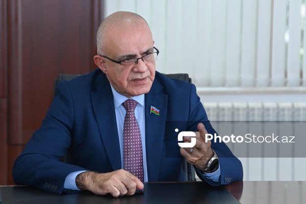 Milli Məclisin deputatı Elçin Mirzəbəyli