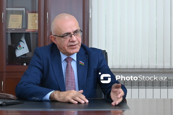 Milli Məclisin deputatı Elçin Mirzəbəyli