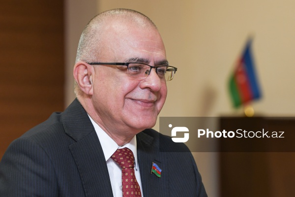 Milli Məclisin deputatı Elçin Mirzəbəyli