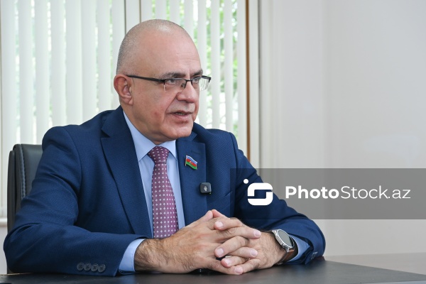 Milli Məclisin deputatı Elçin Mirzəbəyli