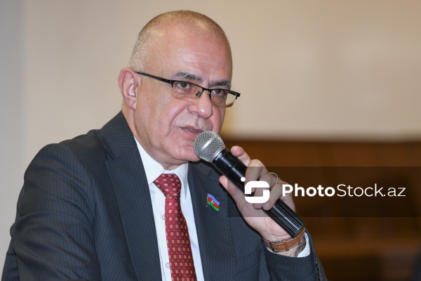 Milli Məclisin deputatı Elçin Mirzəbəyli