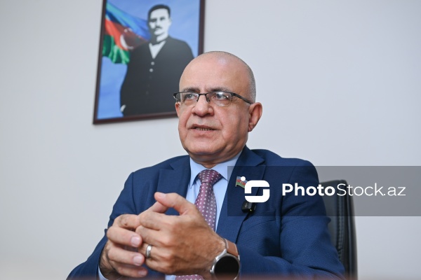 Milli Məclisin deputatı Elçin Mirzəbəyli