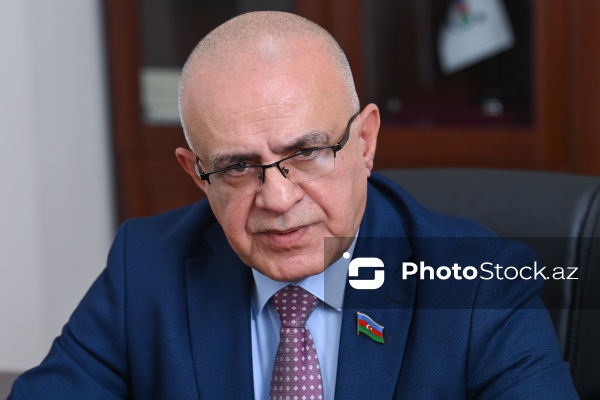 Milli Məclisin deputatı Elçin Mirzəbəyli