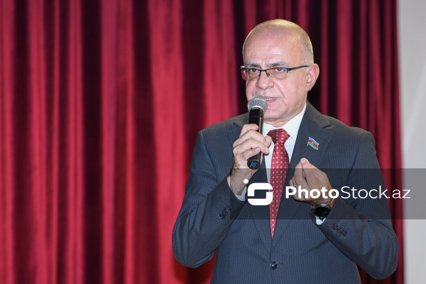 Milli Məclisin deputatı Elçin Mirzəbəyli