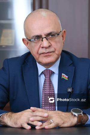 Milli Məclisin deputatı Elçin Mirzəbəyli