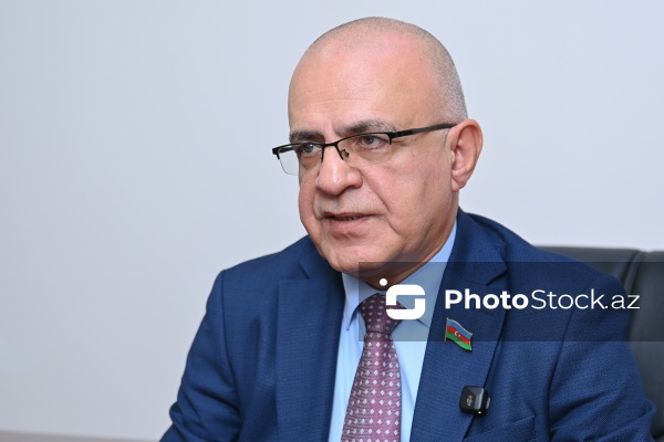 Milli Məclisin deputatı Elçin Mirzəbəyli