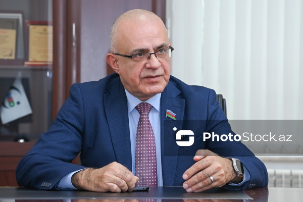 Milli Məclisin deputatı Elçin Mirzəbəyli