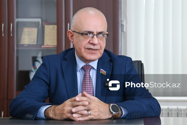 Milli Məclisin deputatı Elçin Mirzəbəyli