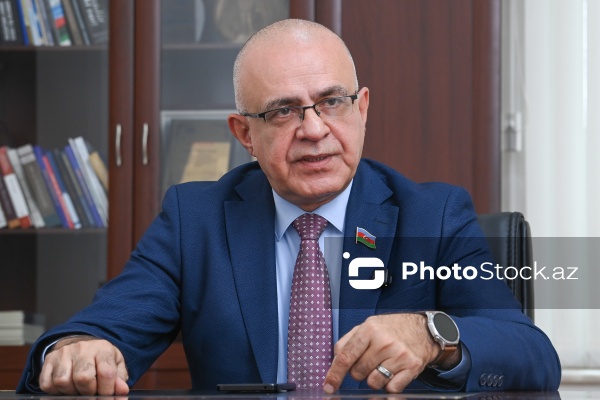 Milli Məclisin deputatı Elçin Mirzəbəyli