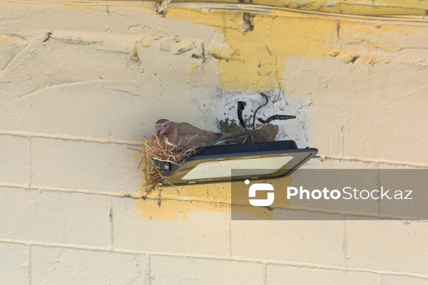 Xocəsən qəsəbəsində yerləşən Qoşaminarəli məscid