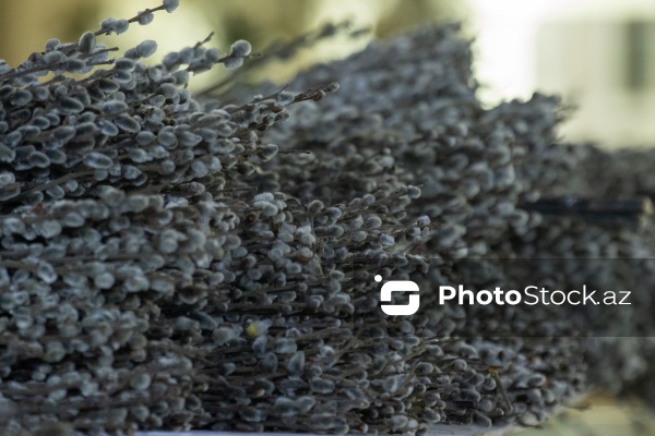 Müqəddəs Mürdaşıyan Zənənlər Kafedralında qeyd olunan Pasxa bayramı