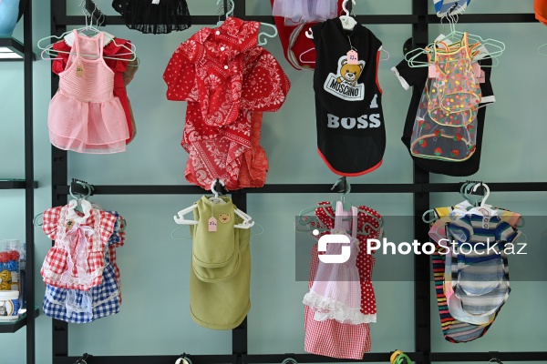 Müxtəlif ev heyvanları üçün nəzərdə tutulmuş gözəllik salonu