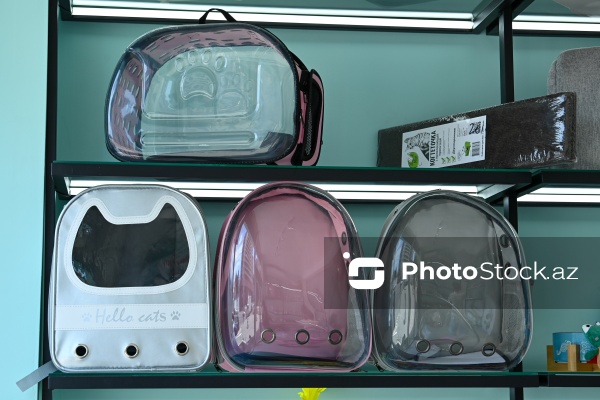 Müxtəlif ev heyvanları üçün nəzərdə tutulmuş gözəllik salonu