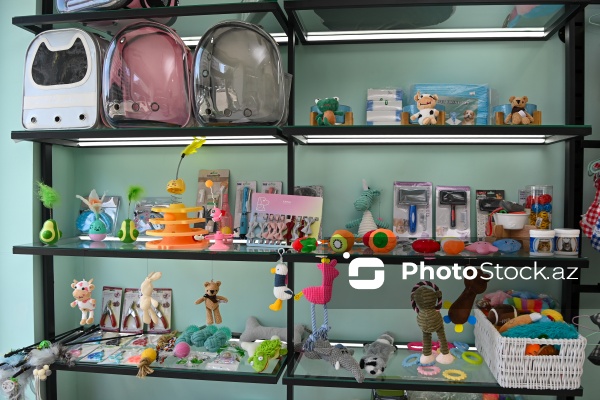 Müxtəlif ev heyvanları üçün nəzərdə tutulmuş gözəllik salonu