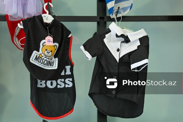 Müxtəlif ev heyvanları üçün nəzərdə tutulmuş gözəllik salonu