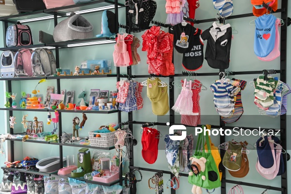 Müxtəlif ev heyvanları üçün nəzərdə tutulmuş gözəllik salonu