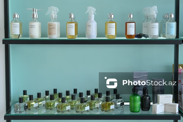 Müxtəlif ev heyvanları üçün nəzərdə tutulmuş gözəllik salonu