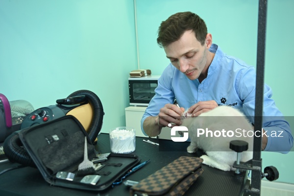 Müxtəlif ev heyvanları üçün nəzərdə tutulmuş gözəllik salonu