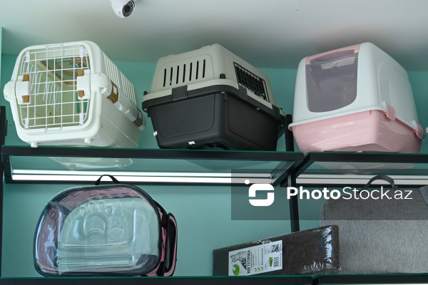 Müxtəlif ev heyvanları üçün nəzərdə tutulmuş gözəllik salonu