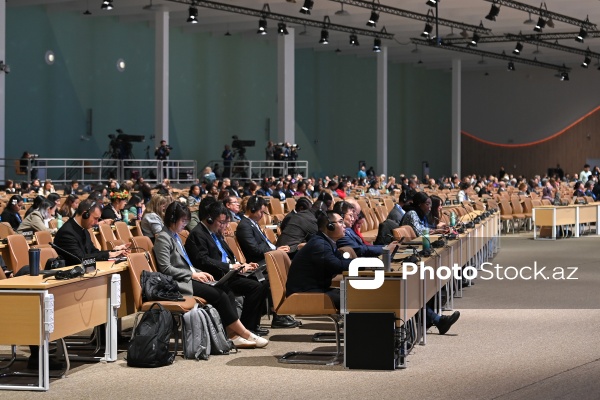 Nazirlərin yüksəksəviyyəli panel iclası