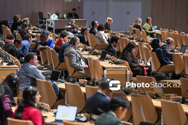 Nazirlərin yüksəksəviyyəli panel iclası