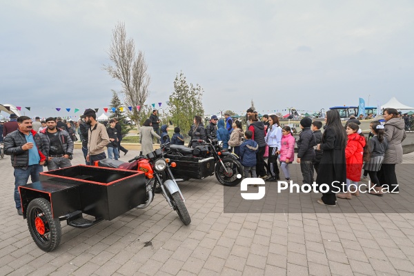 Neftçala rayonunda təşkil olunan balıq festivalı
