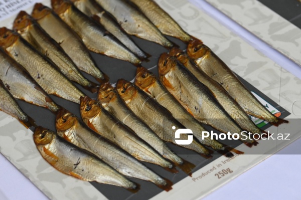 Neftçala rayonunda təşkil olunan balıq festivalı