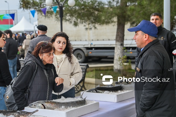 Neftçala rayonunda təşkil olunan balıq festivalı