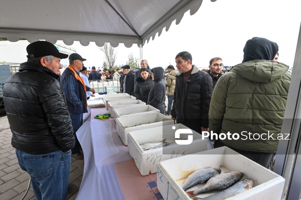Neftçala rayonunda təşkil olunan balıq festivalı