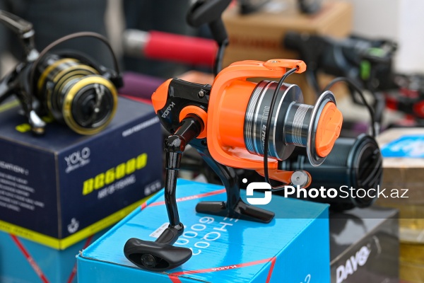 Neftçala rayonunda təşkil olunan balıq festivalı