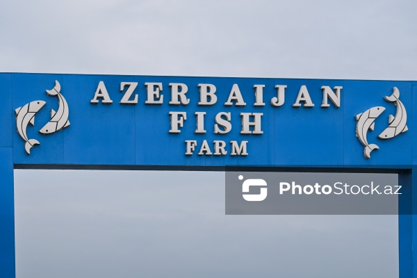 “Azerbaijan Fish Farm” MMC
