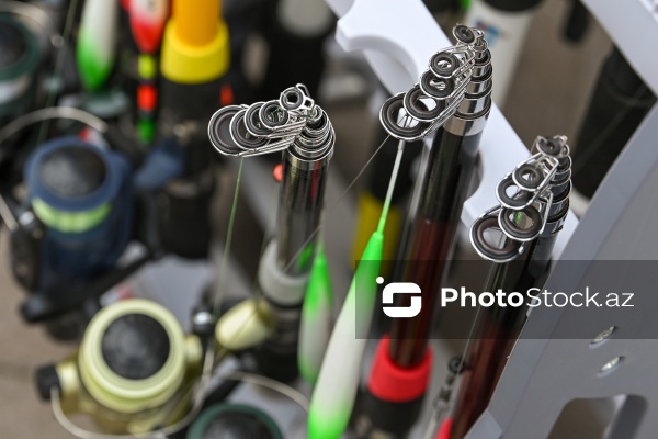 Neftçala rayonunda təşkil olunan balıq festivalı