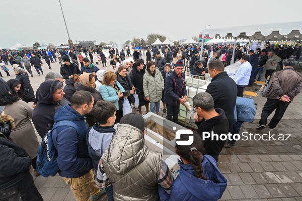 Neftçala rayonunda təşkil olunan balıq festivalı