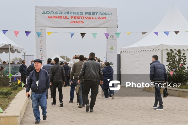 Neftçala rayonunda təşkil olunan balıq festivalı