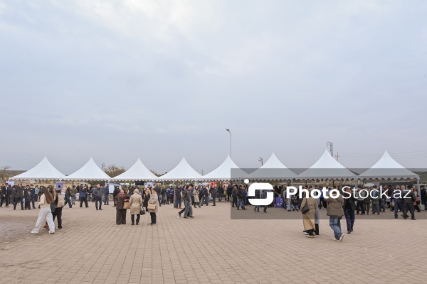 Neftçala rayonunda təşkil olunan balıq festivalı