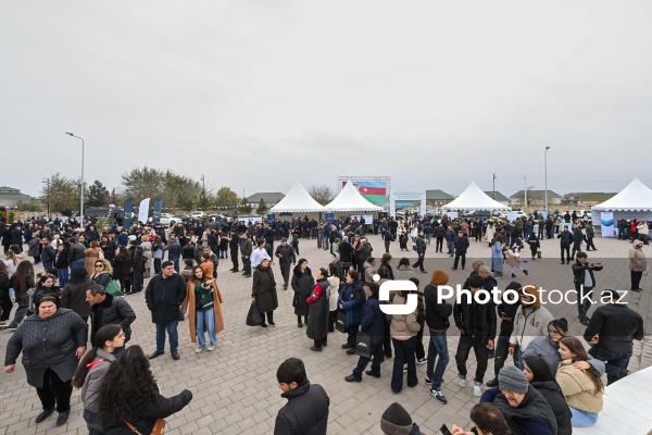 Neftçala rayonunda təşkil olunan balıq festivalı