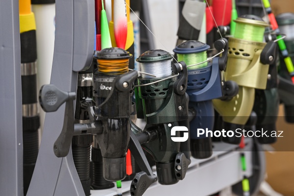 Neftçala rayonunda təşkil olunan balıq festivalı