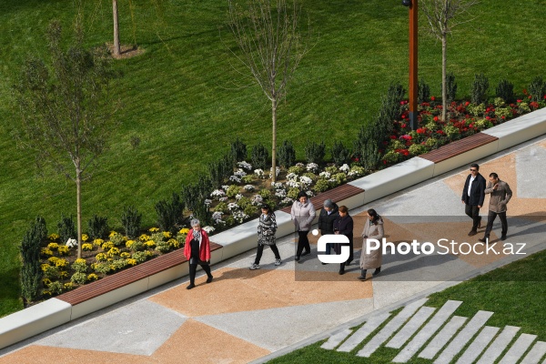 Nəsimi rayonunda yeni salınan park