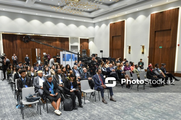 "Neokolonializm və qlobal bərabərsizlik" mövzusunda beynəlxalq konfrans