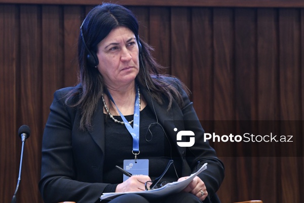 Hamedi Siyad Nabila - "Neokolonializm və qlobal bərabərsizlik" konfransında