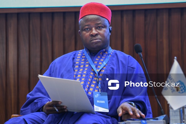 Atanqa Dezmond Funvi - "Neokolonializm və qlobal bərabərsizlik" konfransında