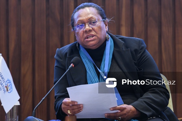 Marie Line Sakilia - "Neokolonializm və qlobal bərabərsizlik" konfransında