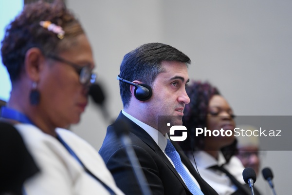 Abbas Abbasov - "Neokolonializm və qlobal bərabərsizlik" konfransında